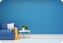 1BHK Properties