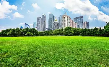 Commercial Plots