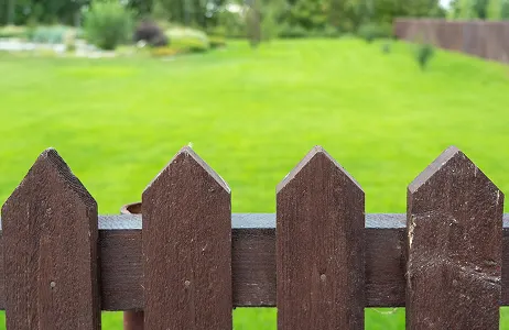 Plots with Boundary Wall